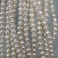 Naturales agua dulce perlas sueltas, Perlas cultivadas de agua dulce, Bricolaje, Blanco, 9-10mm, Vendido para aproximado 37 cm Sarta