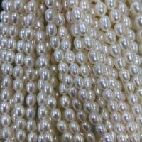 天然淡水真珠ルース ビーズ, 天然有核フレッシュウォーターパール, DIY, ホワイト, 7-8mm, で販売される 約 37 センチ ストランド