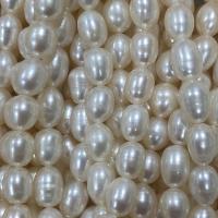 Perlas Arroz Freshwater, Perlas cultivadas de agua dulce, Bricolaje, Blanco, 7-8mm, Vendido para aproximado 37 cm Sarta