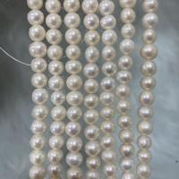 Naturliga sötvattenspärla lösa pärlor, Freshwater Pearl, DIY, vit, 7-8mm, Såld Per Ca 37 cm Strand