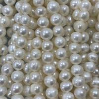 天然淡水真珠ルース ビーズ, 天然有核フレッシュウォーターパール, DIY, ホワイト, 6-7mm, で販売される 約 37 センチ ストランド