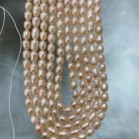 Natural Freshwater Pearl Loose Beads DIY pink 5-5.5mm Sold Per Approx 37 cm Strand