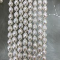 Naturliga sötvattenspärla lösa pärlor, Freshwater Pearl, Dropp, DIY, vit, 8-9mm, Såld Per Ca 37 cm Strand