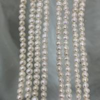 Naturel d'eau douce perles, perle d'eau douce cultivée, DIY, blanc, 3-3.5mm, Vendu par Environ 37 cm brin