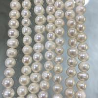 Perlas Patata Freshwater, Perlas cultivadas de agua dulce, Bricolaje, Blanco, 7-8mm, Vendido para aproximado 37 cm Sarta