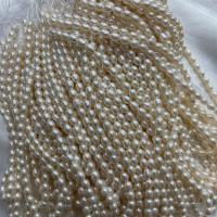 Riso coltivato in perla d'acqua dolce, perla d'acquadolce coltivata naturalmente, DIY, bianco, 5-6mm, Venduto per Appross. 37 cm filo