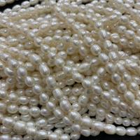 Riso coltivato in perla d'acqua dolce, perla d'acquadolce coltivata naturalmente, DIY, bianco, 5-6mm, Venduto per Appross. 37 cm filo