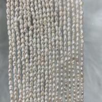 Perles d'eau douce de culture de riz, perle d'eau douce cultivée, DIY, blanc, 3-3.5mm, Vendu par Environ 37 cm brin