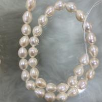 Naturales agua dulce perlas sueltas, Perlas cultivadas de agua dulce, Gota, Bricolaje, Blanco, 9-10mm, Vendido para aproximado 37 cm Sarta