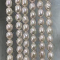 Perlas Arroz Freshwater, Perlas cultivadas de agua dulce, Bricolaje, Blanco, 7-8mm, Vendido para aproximado 37 cm Sarta