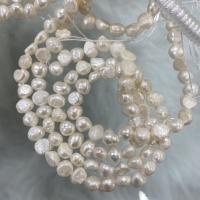 Barock kultivierten Süßwassersee Perlen, Natürliche kultivierte Süßwasserperlen, DIY, weiß, 7-8mm, verkauft per ca. 37 cm Strang