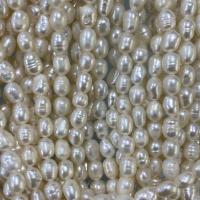 Barock odlad sötvattenspärla pärlor, Freshwater Pearl, DIY, vit, 4-5mm, Såld Per Ca 37 cm Strand