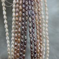 Perlas Arroz Freshwater, Perlas cultivadas de agua dulce, Bricolaje, más colores para la opción, 3-4mm, Vendido para aproximado 37 cm Sarta
