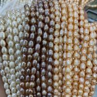 Perlas Arroz Freshwater, Perlas cultivadas de agua dulce, Bricolaje, más colores para la opción, 4-5mm, Vendido para aproximado 37 cm Sarta