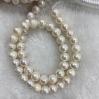 Naturliga sötvattenspärla lösa pärlor, Freshwater Pearl, Något rund, DIY, vit, 7-8mm, Såld Per Ca 37 cm Strand