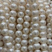 Perlas Patata Freshwater, Perlas cultivadas de agua dulce, Bricolaje, Blanco, 8-9mm, Vendido para aproximado 37 cm Sarta