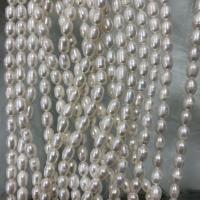 Rice ferskvandskulturperle Beads, Ferskvandsperle, Ris, du kan DIY, hvid, 7-8mm, Solgt Per Ca. 37 cm Strand