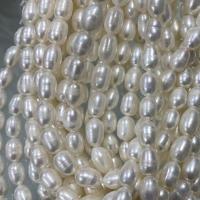 Rice ferskvandskulturperle Beads, Ferskvandsperle, Ris, du kan DIY, hvid, 7-8mm, Solgt Per Ca. 37 cm Strand