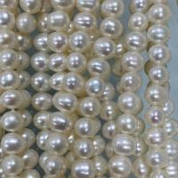 Potatis odlad sötvattenspärla pärlor, Freshwater Pearl, DIY, vit, 5-6mm, Såld Per Ca 37 cm Strand