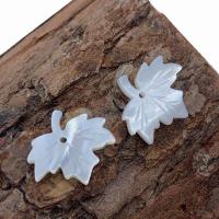 Shell Pendants, Maple Leaf, DIY, more colors for choice, 14x15mm, Sold By PC
