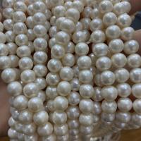 Naturliga sötvattenspärla lösa pärlor, Freshwater Pearl, Något rund, DIY, vit, 7-8mm, Såld Per Ca 40 cm Strand