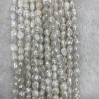Barok ferskvandskulturperle Beads, Ferskvandsperle, du kan DIY, hvid, 7-8mm, Solgt Per Ca. 37 cm Strand