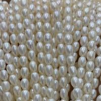 Barok ferskvandskulturperle Beads, Ferskvandsperle, Ris, du kan DIY, hvid, 4-4.5mm, Solgt Per Ca. 37 cm Strand