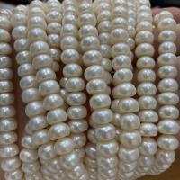 Naturlige ferskvands perle løs perler, Ferskvandsperle, Flad Rund, du kan DIY, hvid, 9-10mm, Solgt Per Ca. 37 cm Strand
