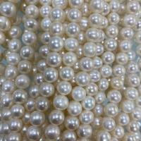 Naturliga sötvattenspärla lösa pärlor, Freshwater Pearl, Något rund, DIY, vit, 8-9mm, Såld Per Ca 37 cm Strand