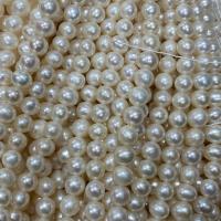 Naturliga sötvattenspärla lösa pärlor, Freshwater Pearl, Något rund, DIY, vit, 6-7mm, Såld Per Ca 37 cm Strand