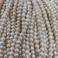 Perles nacres pommes de terre de culture d'eau douce, perle d'eau douce cultivée, pomme de terre, DIY, blanc, 5-6mm, Vendu par Environ 37 cm brin