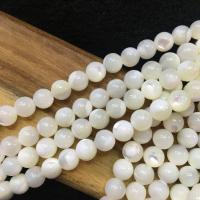 Perline conchiglia mari del sud, Shell Pearl, Leggermente rotondo, DIY, bianco, 6mm, Venduto per Appross. 37 cm filo