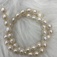 Naturlige ferskvands perle løs perler, Ferskvandsperle, Lidt rund, du kan DIY, hvid, 8-9mm, Solgt Per Ca. 37 cm Strand