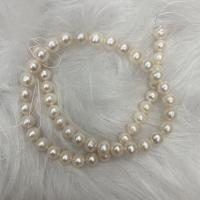 Naturlige ferskvands perle løs perler, Ferskvandsperle, Lidt rund, du kan DIY, hvid, 8-9mm, Solgt Per Ca. 37 cm Strand