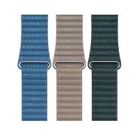 Bracelets de montre, cuir PU, Réglable & pour montre apple & DIY & normes différentes pour le choix, plus de couleurs à choisir, Vendu par PC