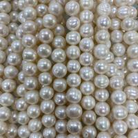 Perlas Patata Freshwater, Perlas cultivadas de agua dulce, Bricolaje, Blanco, 9-10mm, Vendido para aproximado 37 cm Sarta