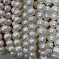 Naturalne perły słodkowodne perełki luźne, Perła naturalna słodkowodna, Lekko okrągły, DIY, biały, 9-10mm, sprzedawane na około 37 cm Strand