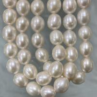 Perles d'eau douce de culture de riz, perle d'eau douce cultivée, DIY, blanc, 7-8mm, Vendu par Environ 37 cm brin