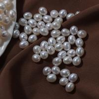 Cultured Half Drilled Freshwater Pearl Beads Slightly Round & DIY & half-drilled white 6mm Approx 1.8mm Sold By Bag