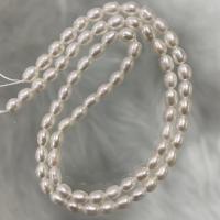 Perlas Arroz Freshwater, Perlas cultivadas de agua dulce, Bricolaje, Blanco, 3-4mm, Vendido para aproximado 37 cm Sarta