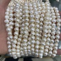 Barok ferskvandskulturperle Beads, Ferskvandsperle, du kan DIY, hvid, 8-9mm, Solgt Per Ca. 37 cm Strand