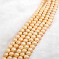 Naturel d'eau douce perles, perle d'eau douce cultivée, Légèrement rond, DIY, doré, 12-13mm, Vendu par Environ 37 cm brin