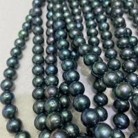 Naturalne perły słodkowodne perełki luźne, Perła naturalna słodkowodna, Lekko okrągły, DIY, czarny, 10-11mm, sprzedawane na około 40 cm Strand