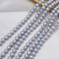 Naturalne perły słodkowodne perełki luźne, Perła naturalna słodkowodna, Lekko okrągły, DIY & różnej wielkości do wyboru, szary, sprzedawane na około 39 cm Strand