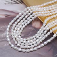 Cultured Rice Freshwater Pearl Beads DIY white 3.5-4mm Sold Per Approx 35-36 cm Strand