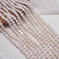 Barocco coltivate in acqua dolce Perla, perla d'acquadolce coltivata naturalmente, DIY, bianco, 5-6mm, Venduto per Appross. 35 cm filo