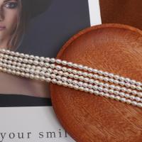 Cultured Rice Freshwater Pearl Beads, DIY, white, 4-4.5mm, Sold Per Approx 37 cm Strand