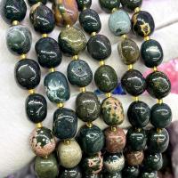 Agat perler, Ocean Agate, Nuggets, du kan DIY, blandede farver, 10x15mm, Solgt Per Ca. 39 cm Strand