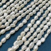 Perles nacres baroques de culture d'eau douce , perle d'eau douce cultivée, DIY, blanc, 3-4mm, Environ 64PC/brin, Vendu par brin