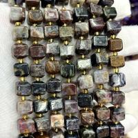 Gemstone smykker perler, Pietersite, Square, du kan DIY & facetteret, blandede farver, 8mm, Solgt Per Ca. 39 cm Strand